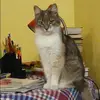 Отзыв от Арина Ситникова
